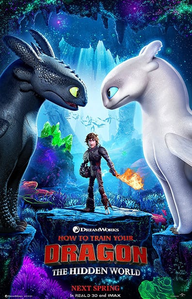 How Train Dragon: Hidden World poster image
