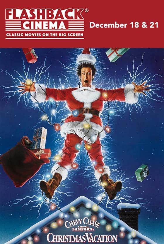 National Lampoon's Christmas Vacation {1989} poster image