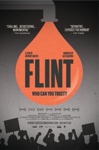 Flint: Who Can You Trust? poster image