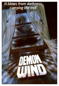 Demon Wind {1990} poster image