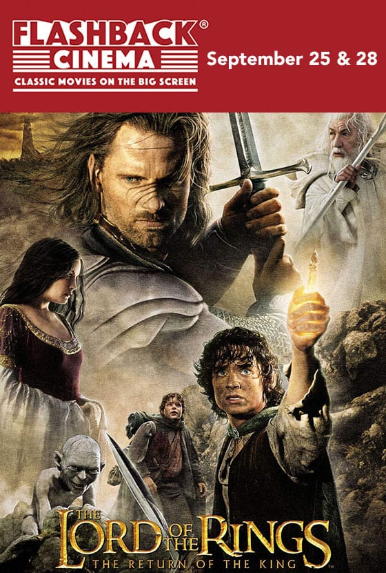 Lord of the Rings: The Return of the King Extended poster image