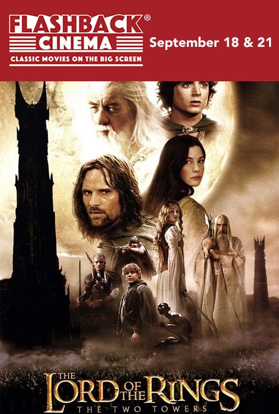 Lord of the Rings: The Two Towers Extended poster image
