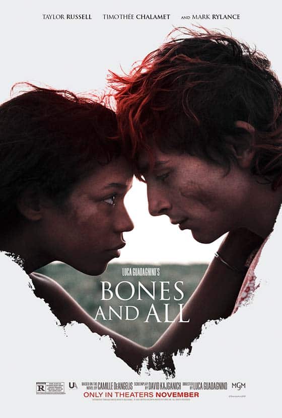 Bones and All poster image