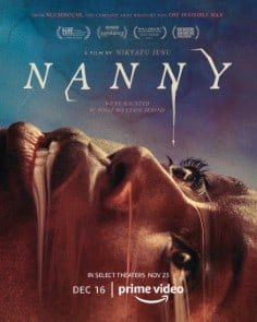 Nanny poster image