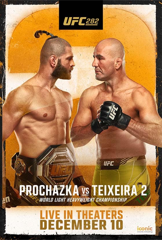 UFC 282: Prochazka vs. Teixeira poster image