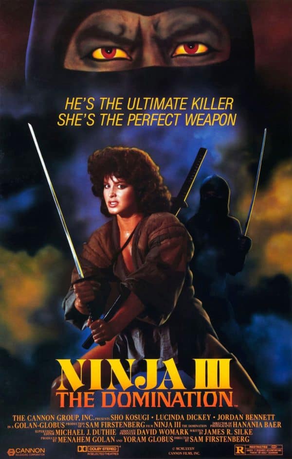Ninja 3: The Domination (1984) poster image