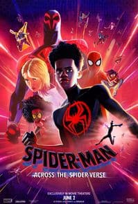Spider-Man: Across The Spider-Verse poster image