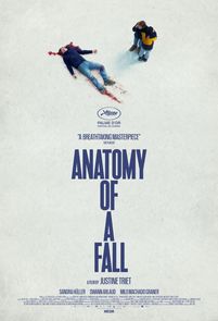 Anatomy Of A Fall poster image