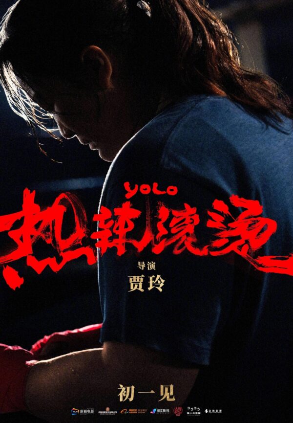 Yolo poster image