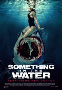 Something In The Water poster image