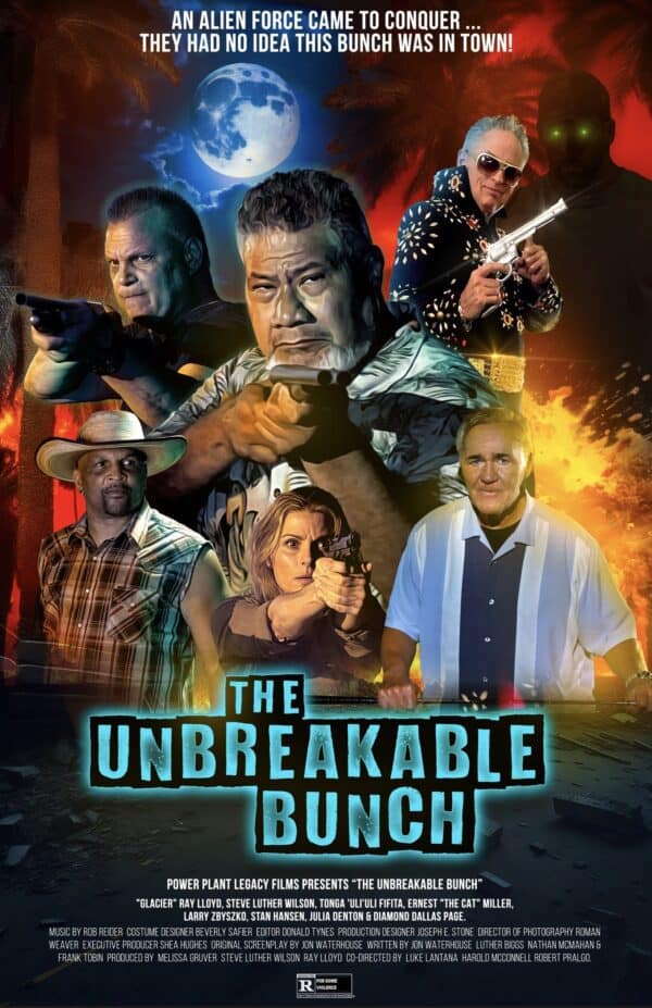 The Unbreakable Bunch poster image