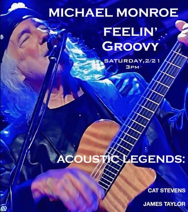 Michael Monroe - Feeling Groovy Acoustic Legends poster image