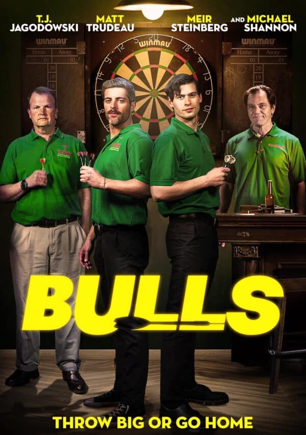 Bulls poster image