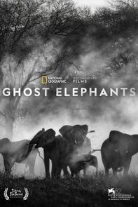 Ghost Elephants (with Live Q&A) poster image