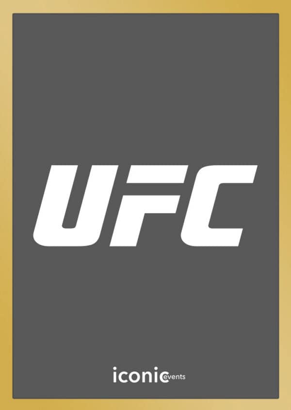 UFC 327: Prochazka vs Ulberg poster image