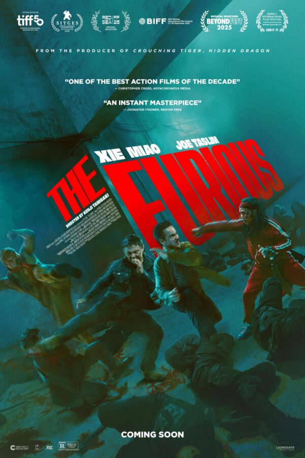 The Furious poster image
