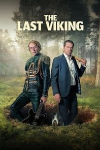 The Last Viking poster image
